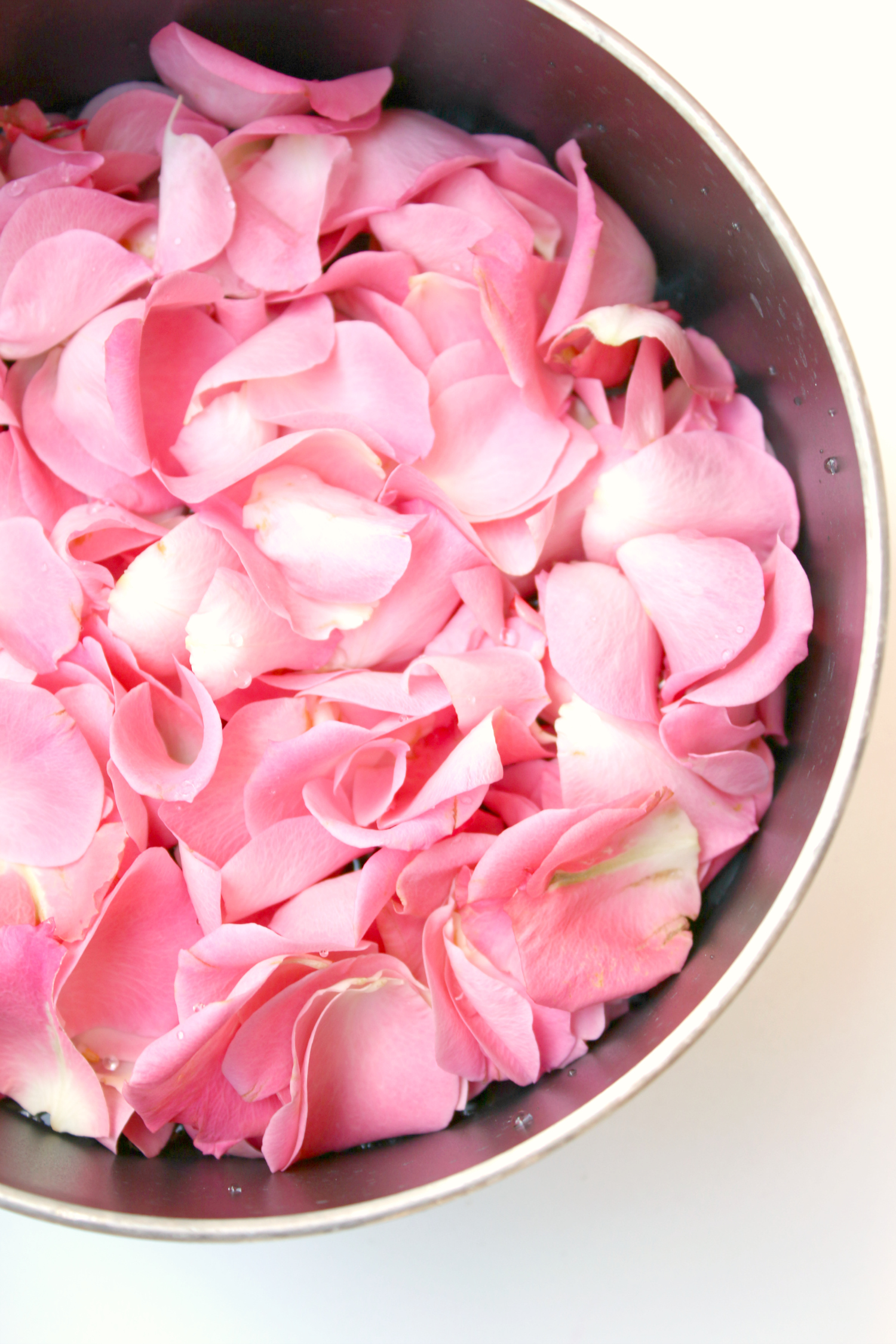how-to-make-rose-water-at-home-diary-of-a-debutante