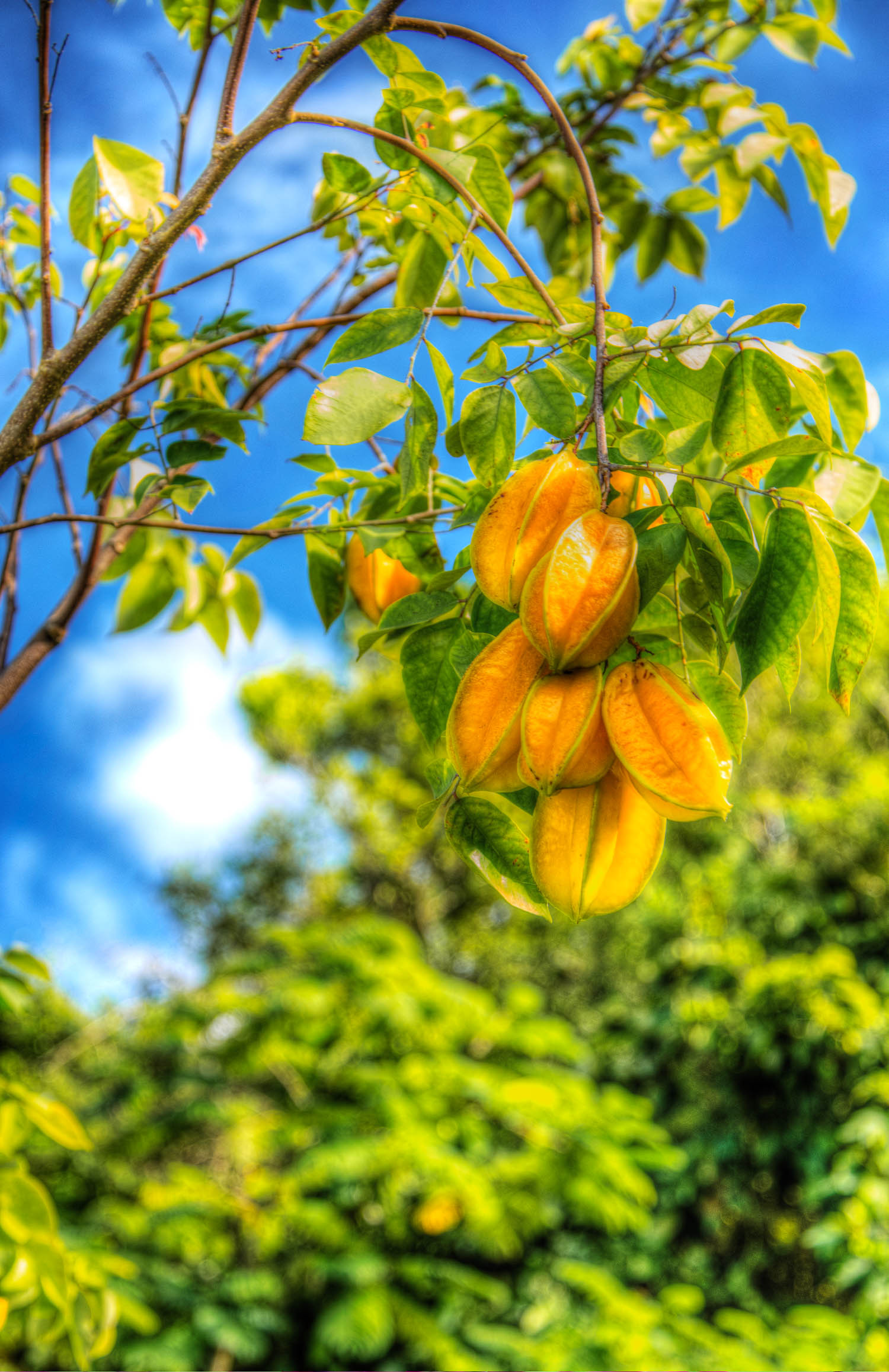 IslandHopping Guide The Best Things to Do in the U.S. Virgin Islands